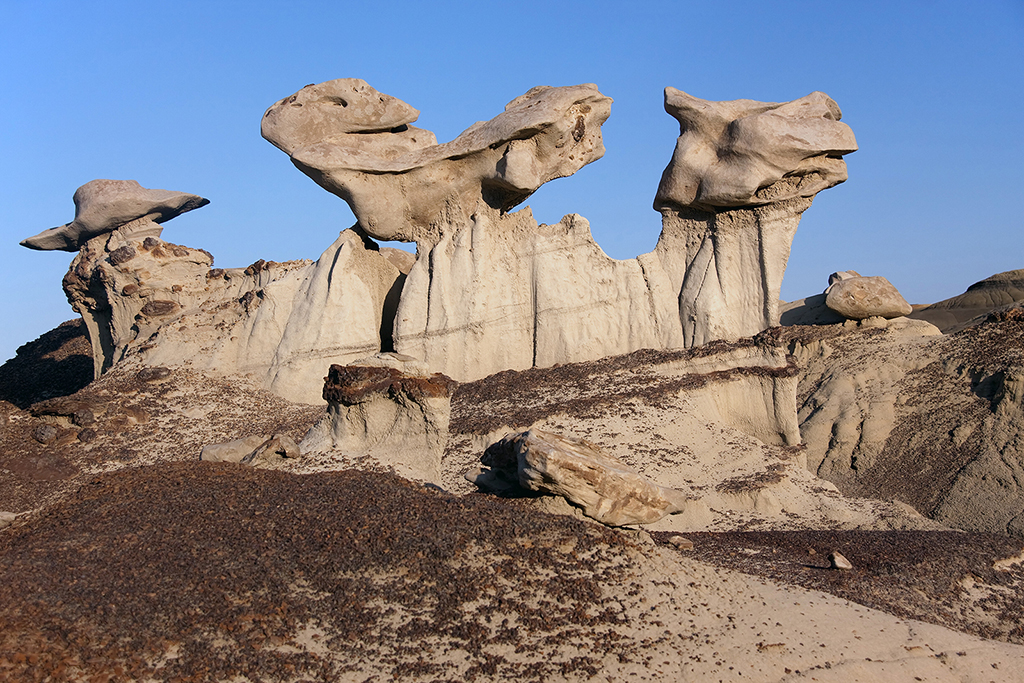 18_Bisti Wilderness__09.jpg